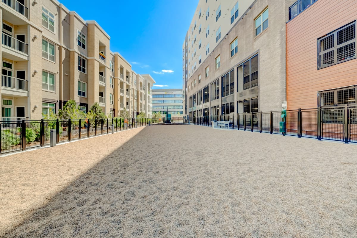 Apartments for Rent in Lone Tree, CO Novus Photos